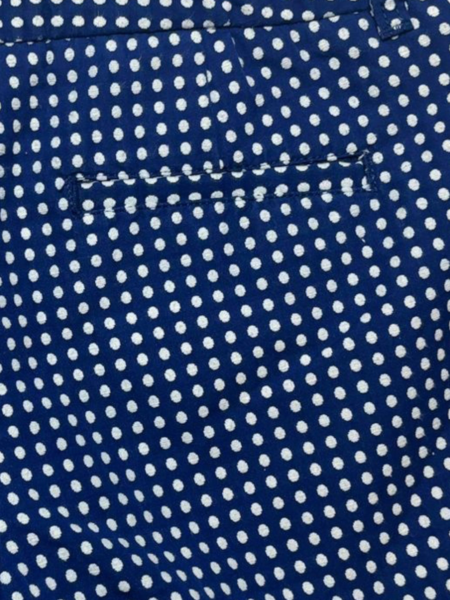 Merona blue polka dots shorts