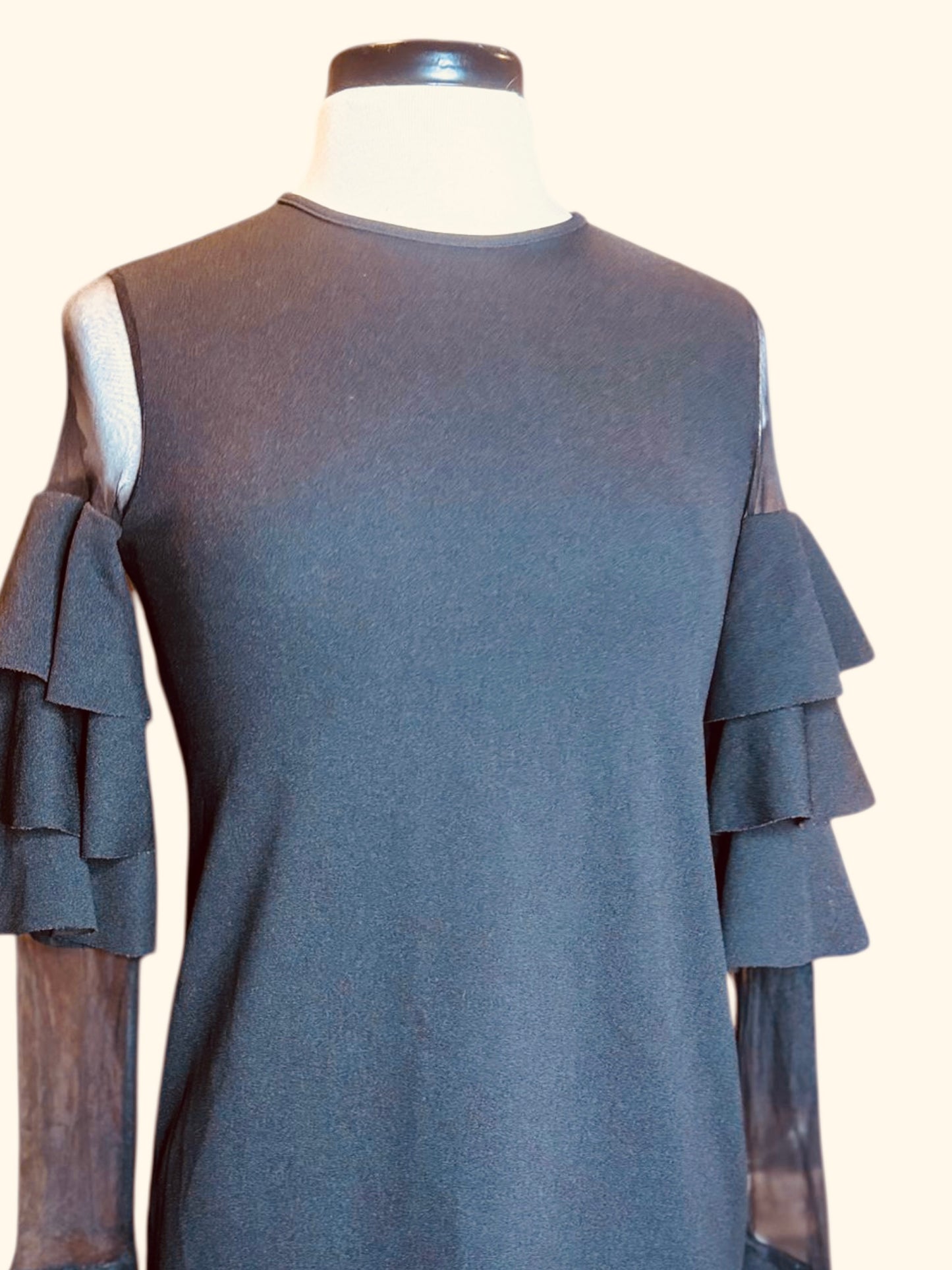 Shein ruffle sheer sleeve dress