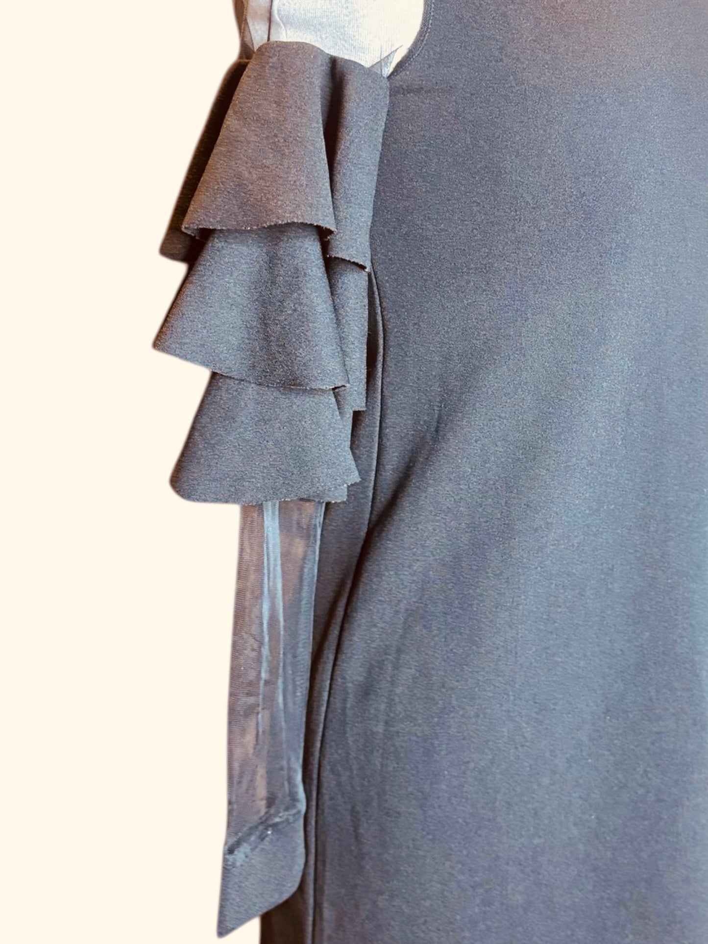 Shein ruffle sheer sleeve dress