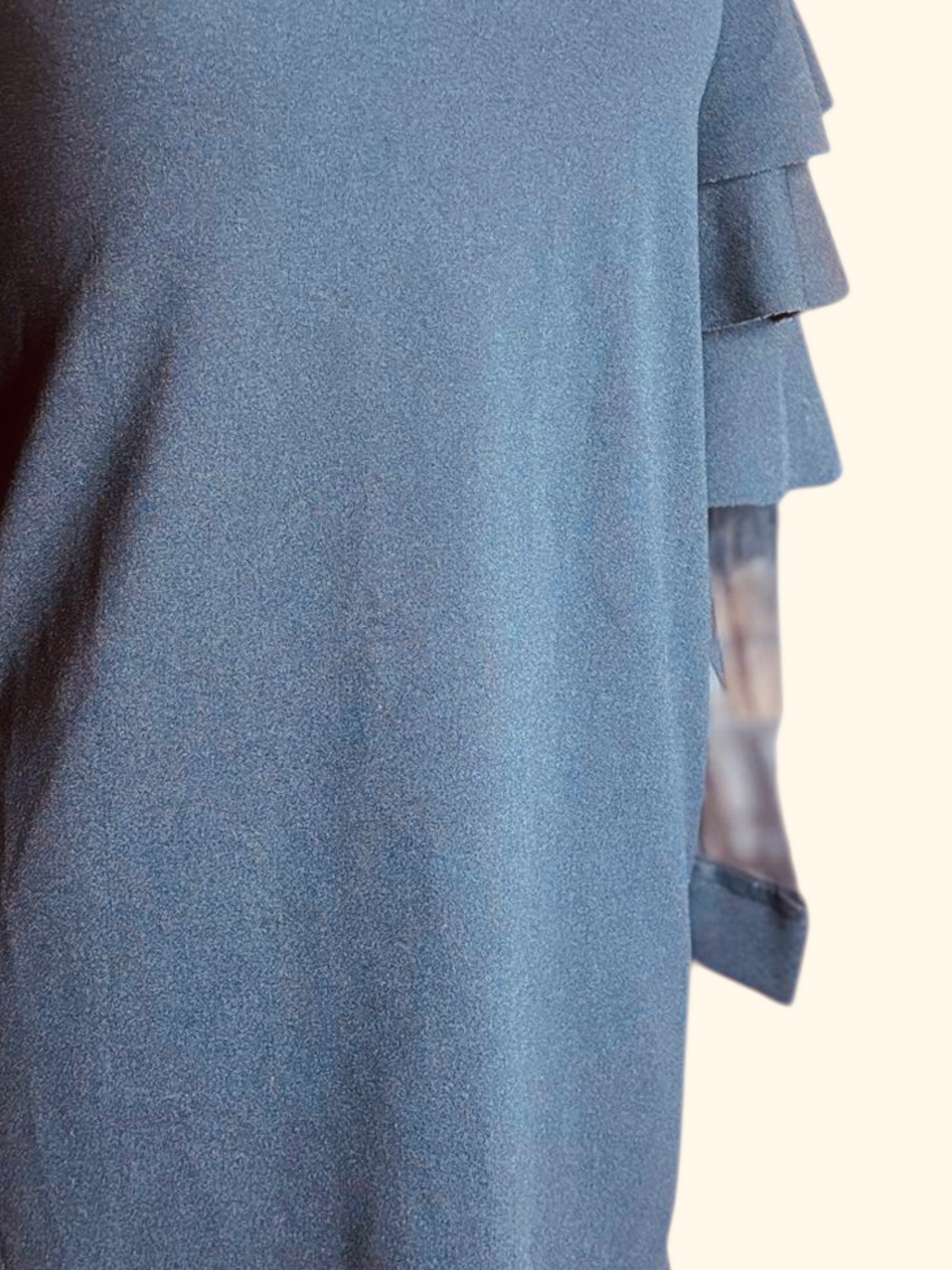 Shein ruffle sheer sleeve dress