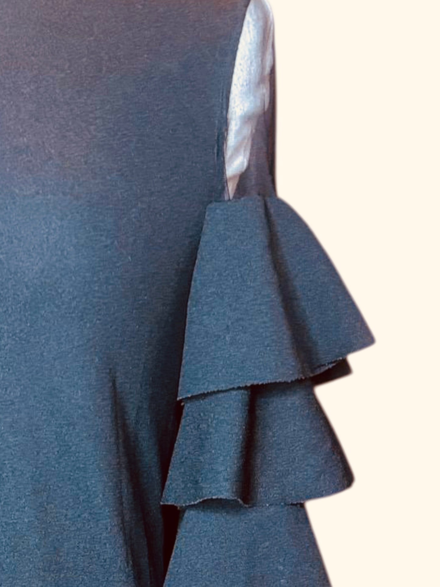 Shein ruffle sheer sleeve dress