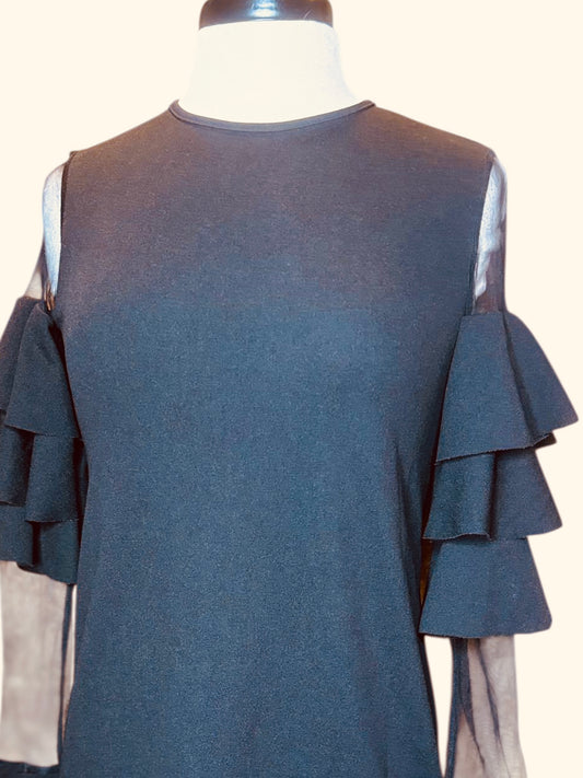 Shein ruffle sheer sleeve dress