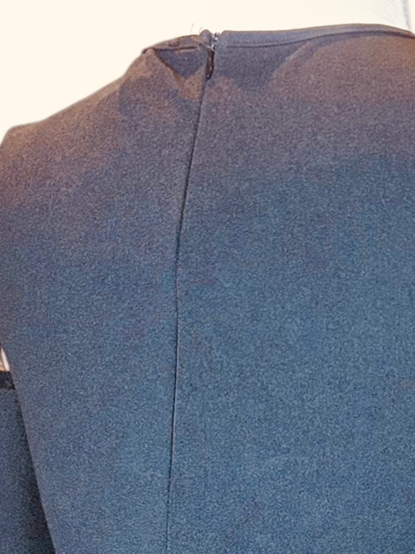 Shein ruffle sheer sleeve dress