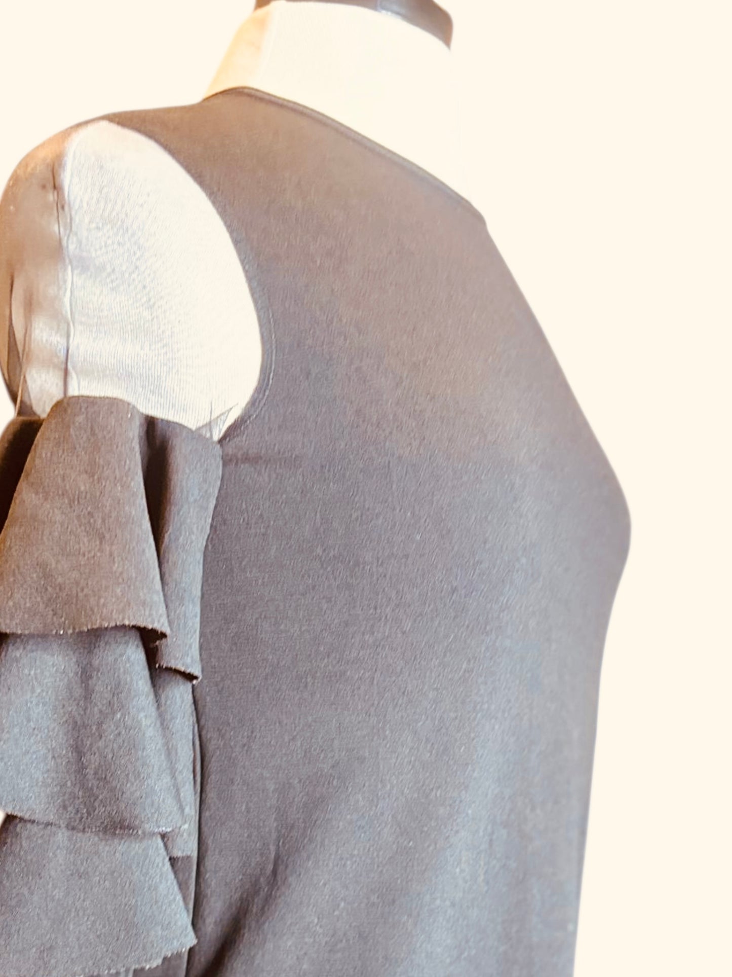 Shein ruffle sheer sleeve dress