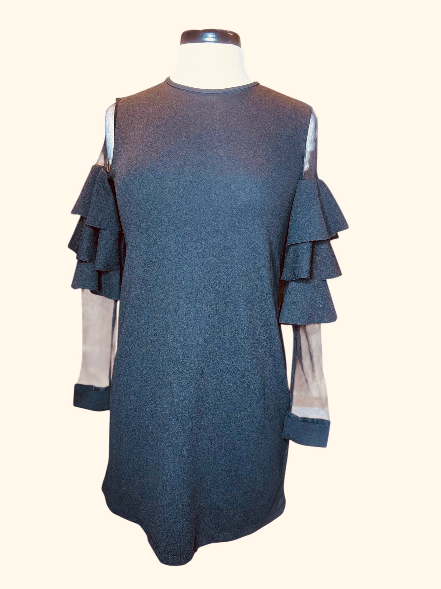 Shein ruffle sheer sleeve dress