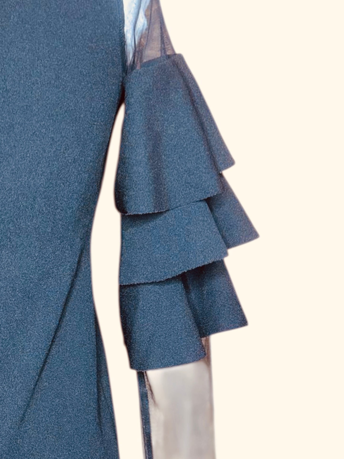 Shein ruffle sheer sleeve dress