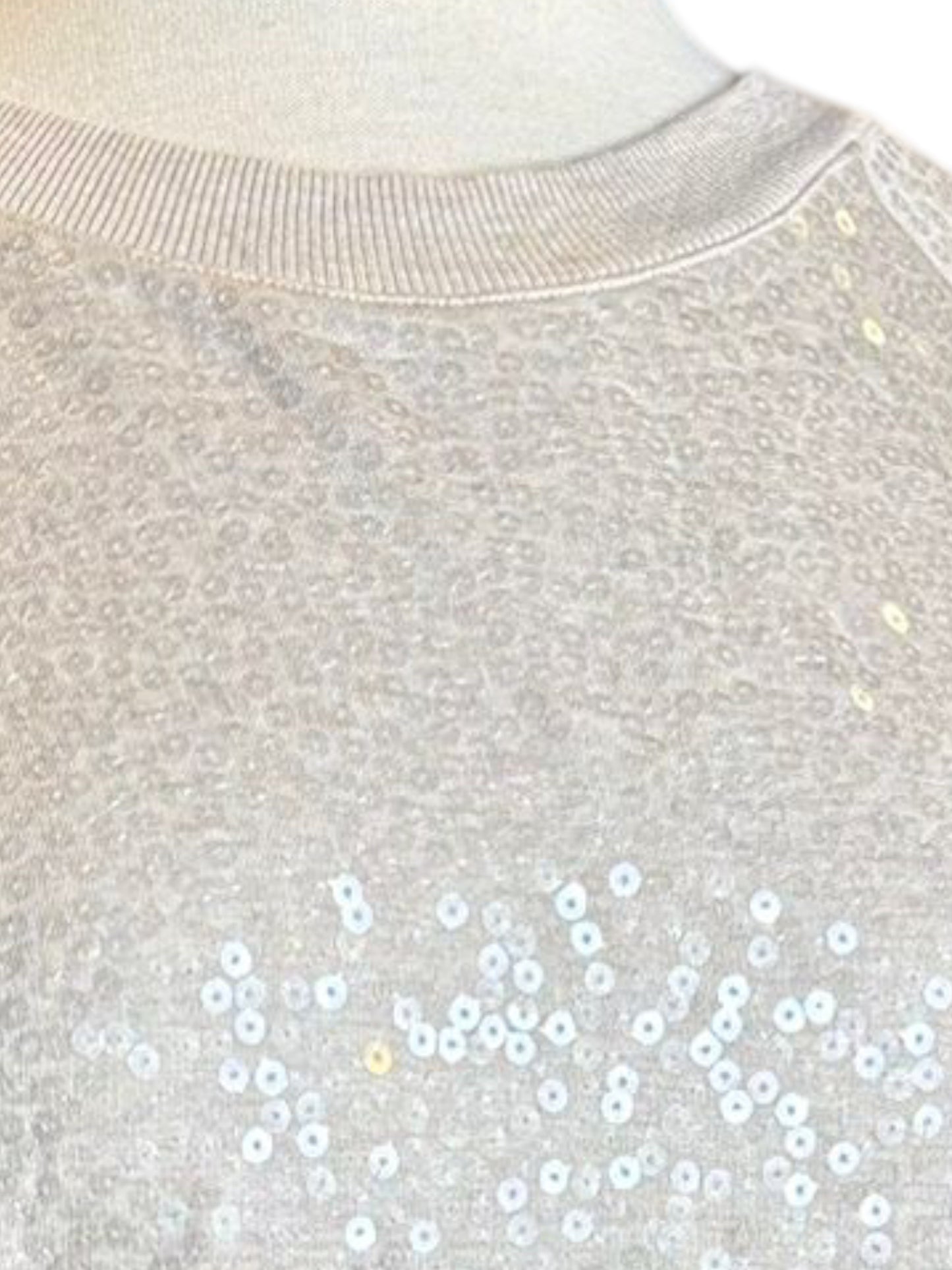 Express sequins silver top