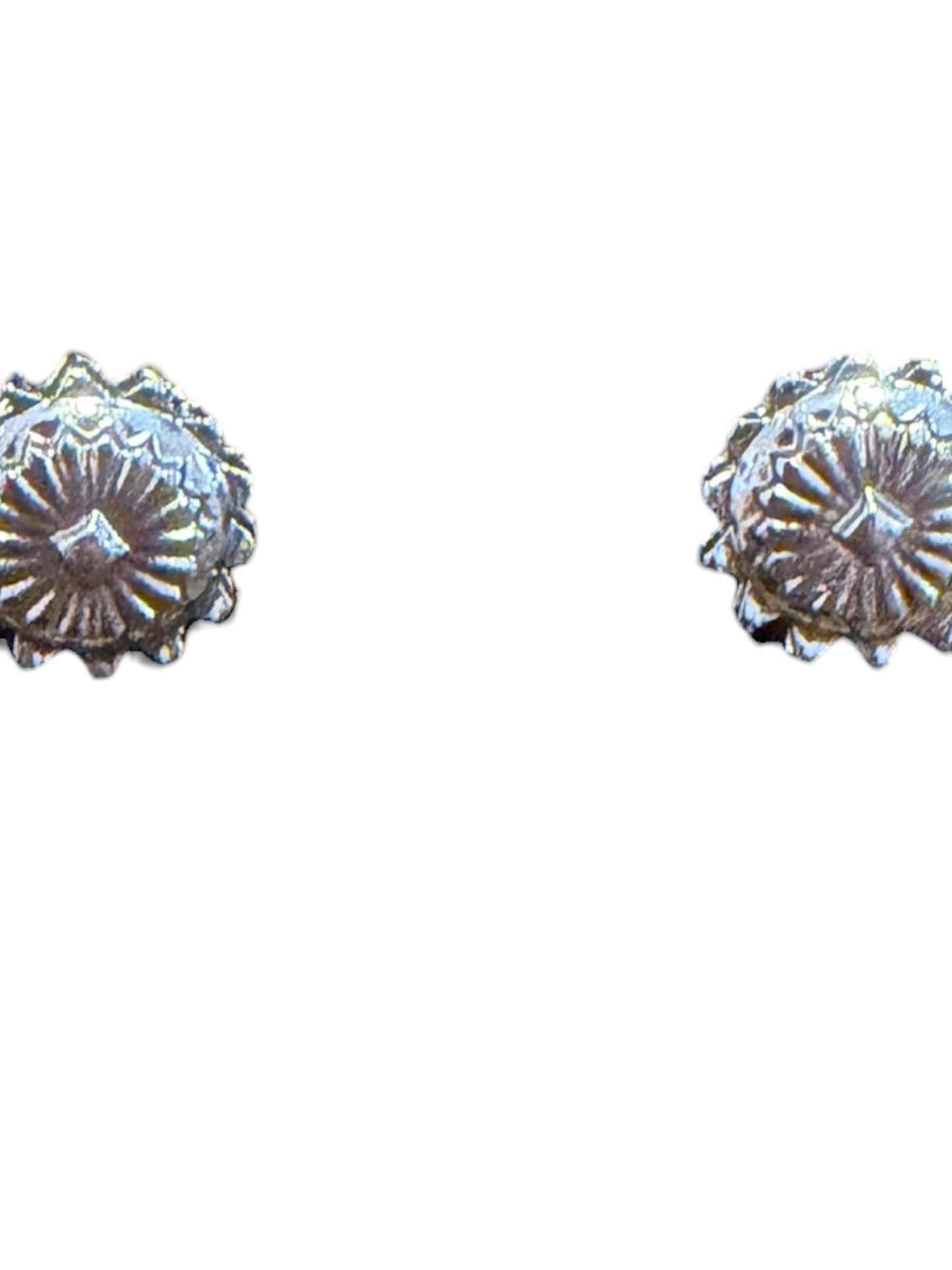 Western silver tone earrings