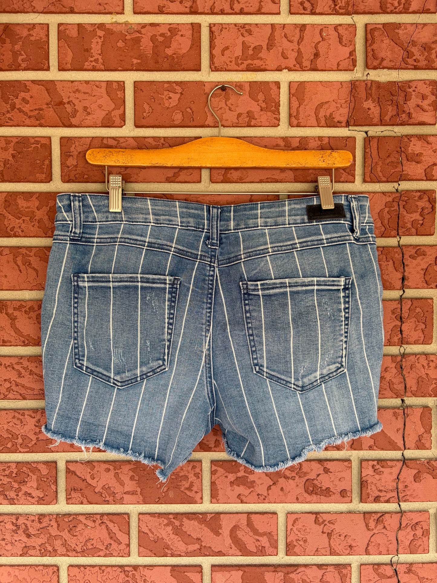 Natural Reflection Striped Shorts