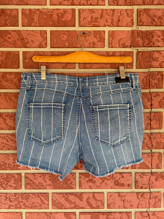 Natural Reflection Striped Shorts