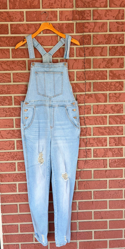 Light Wash Overalls
