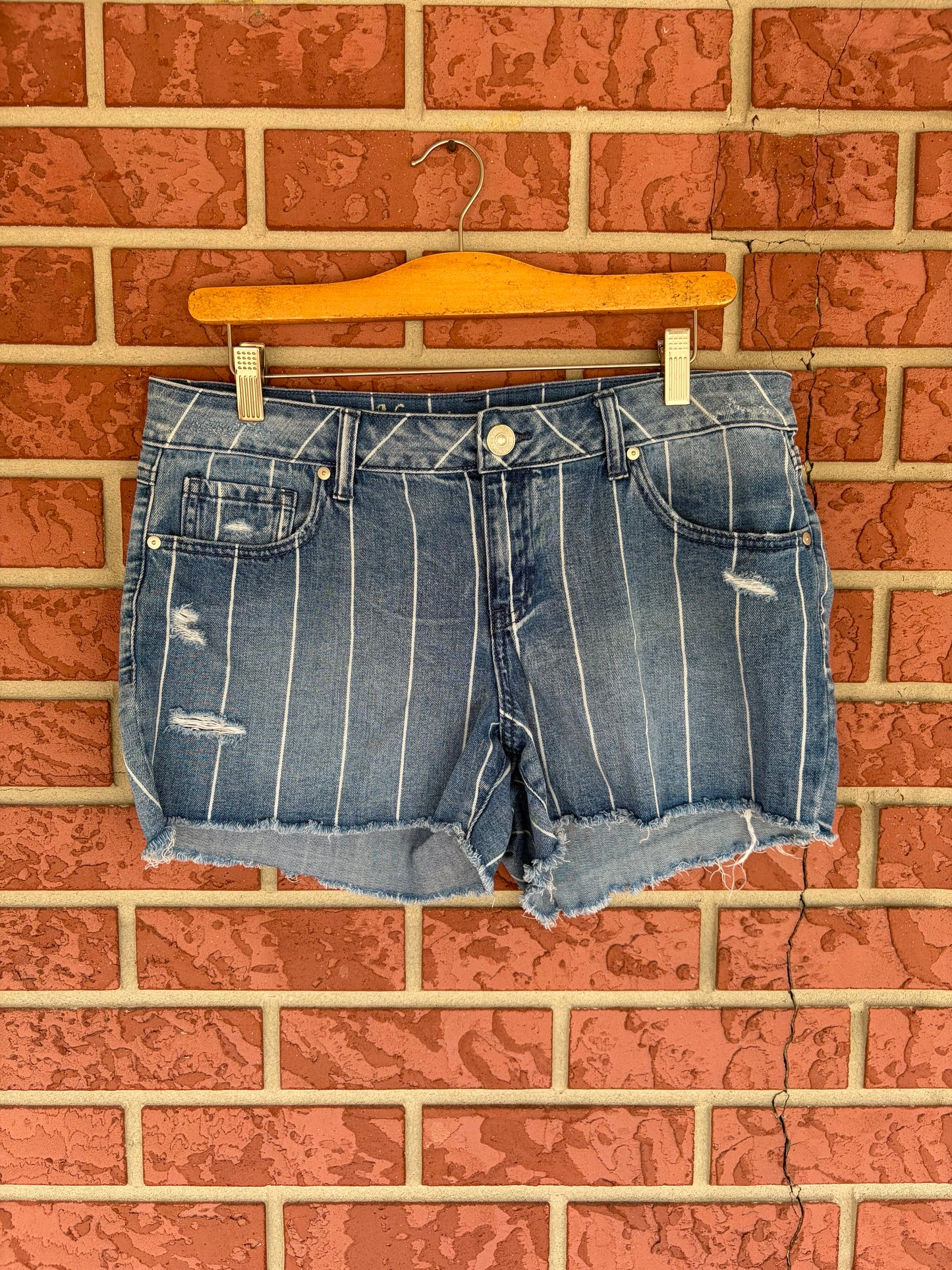 Natural Reflection Striped Shorts