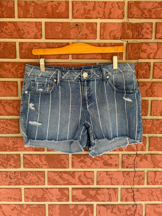 Natural Reflection Striped Shorts