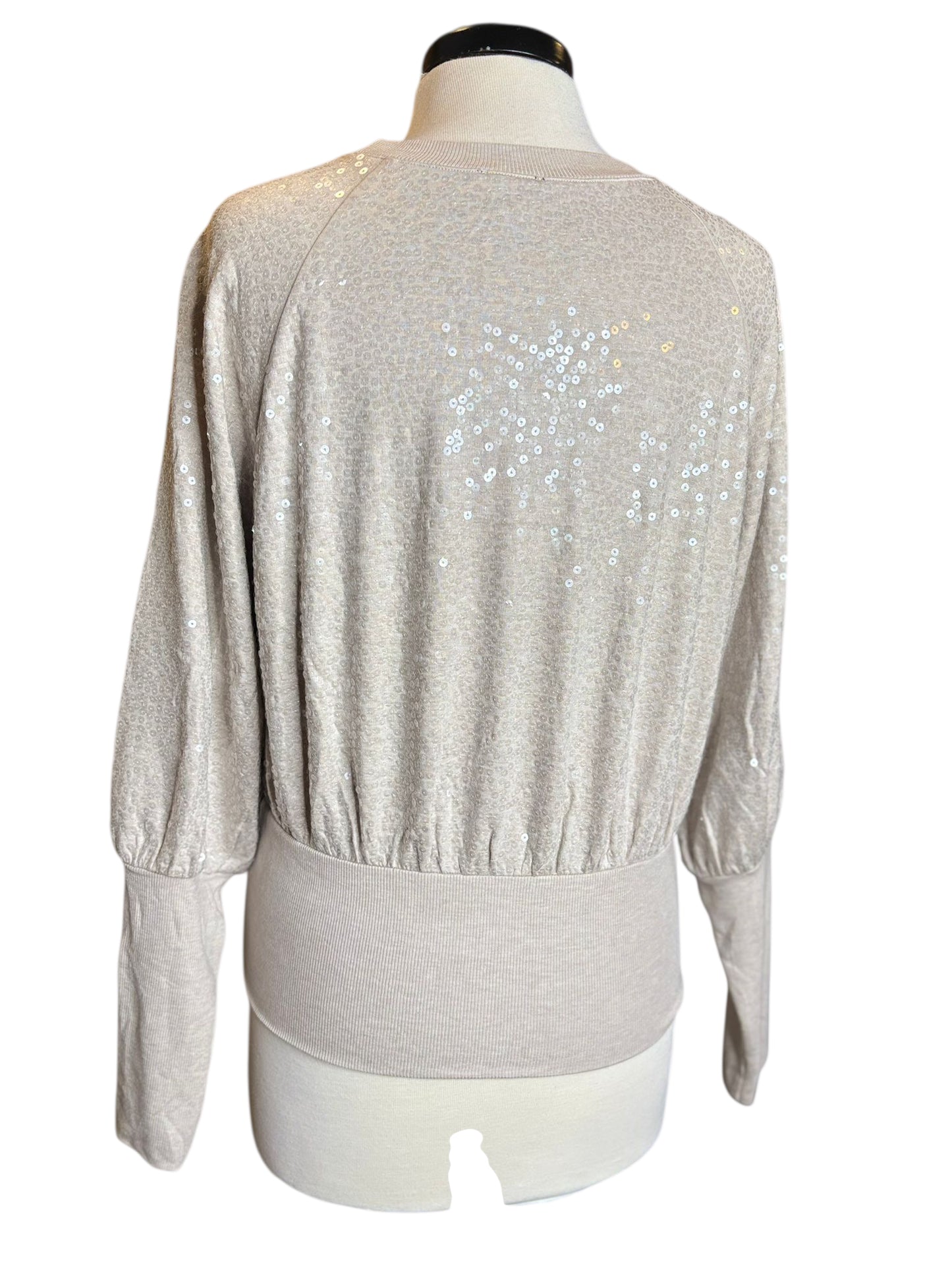 Express sequins silver top