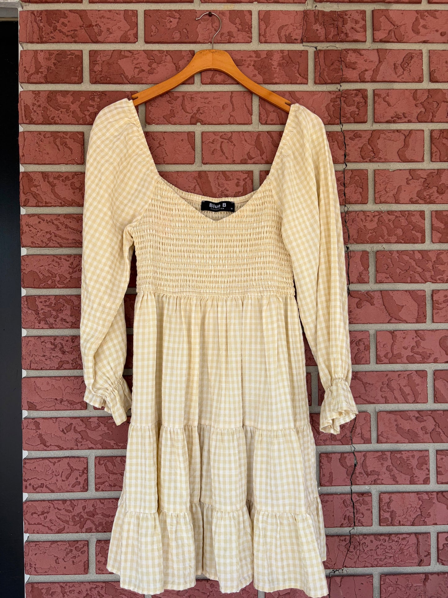 Blue B yellow long sleeve gingham dress