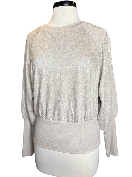Express sequins silver top