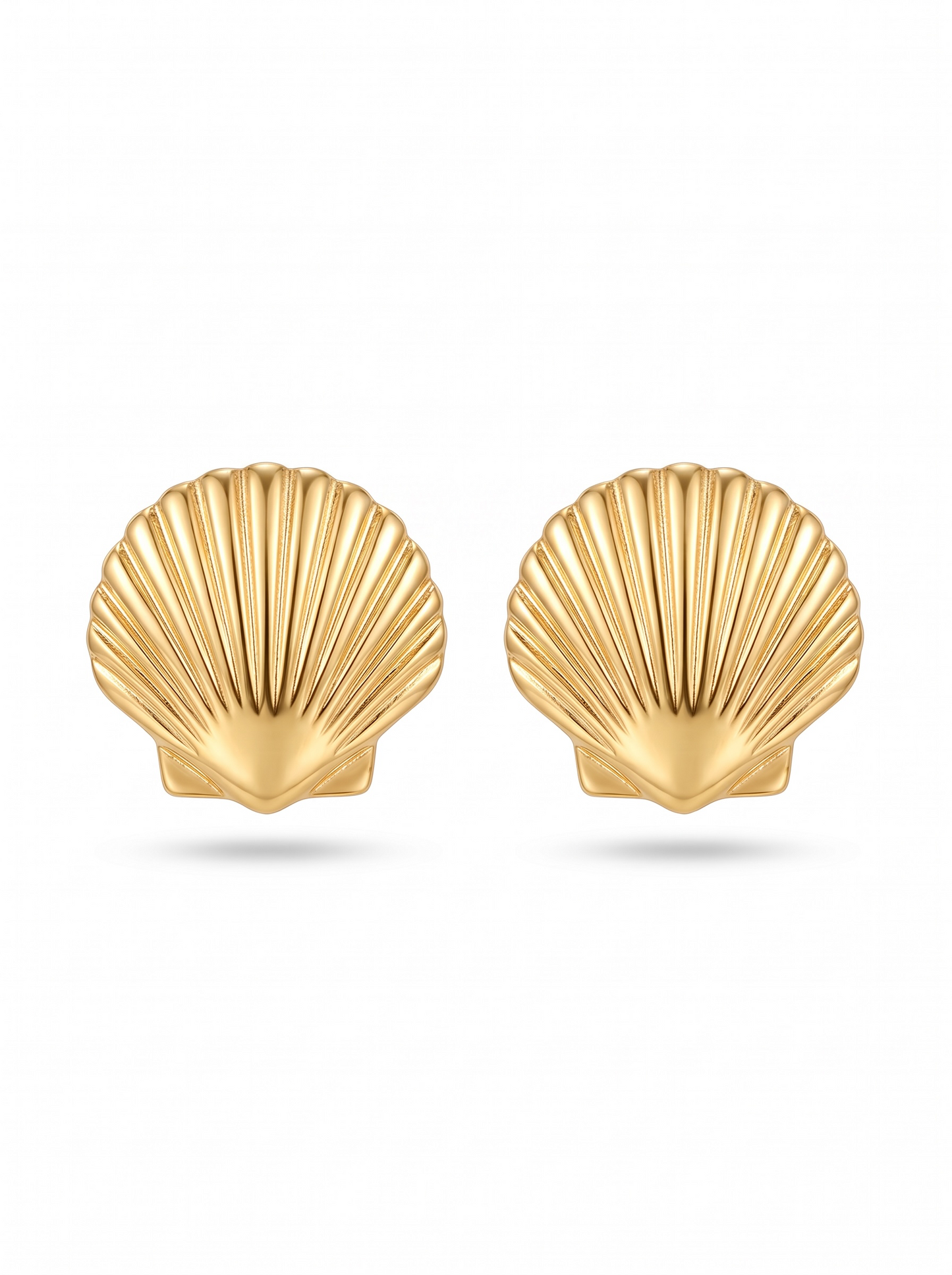 Shell earrings