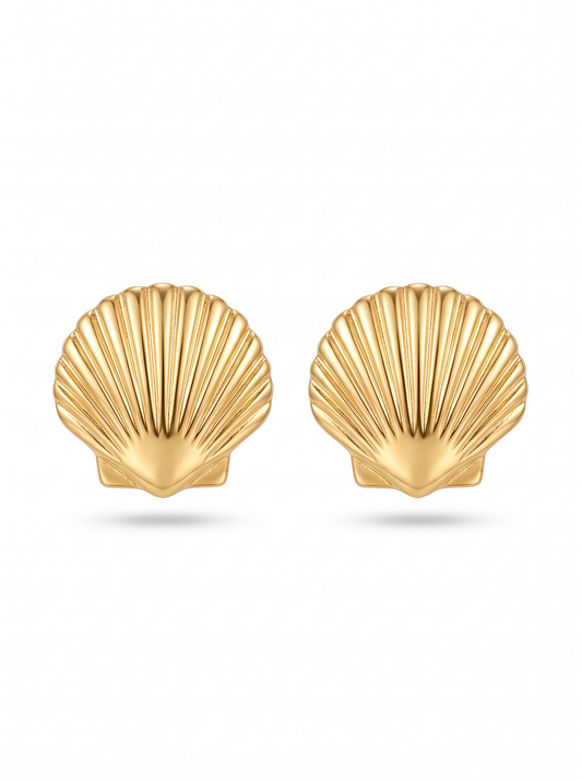 Shell earrings
