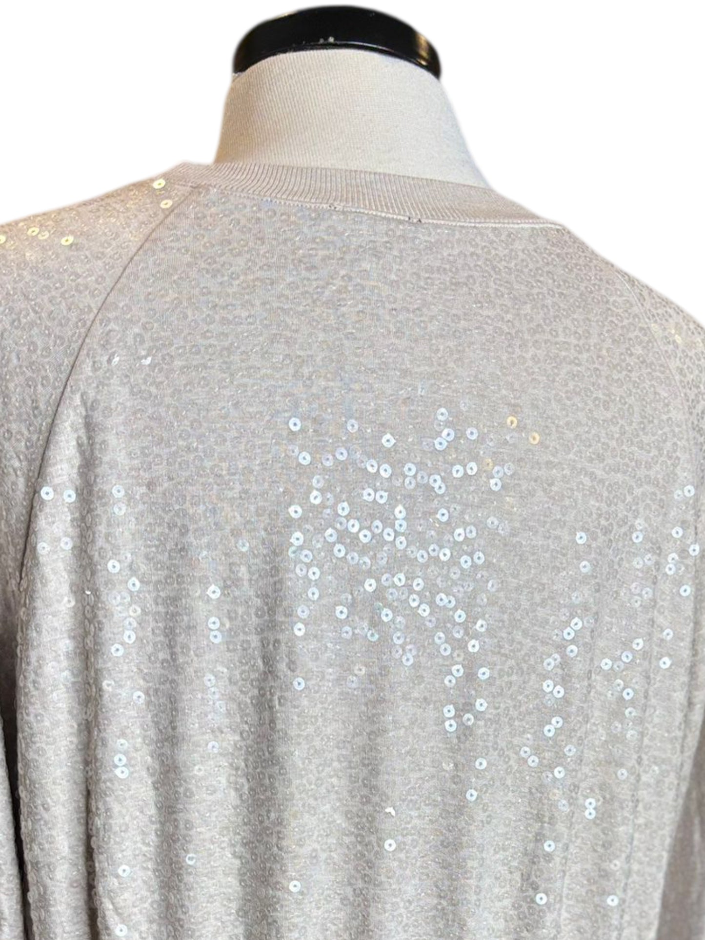Express sequins silver top