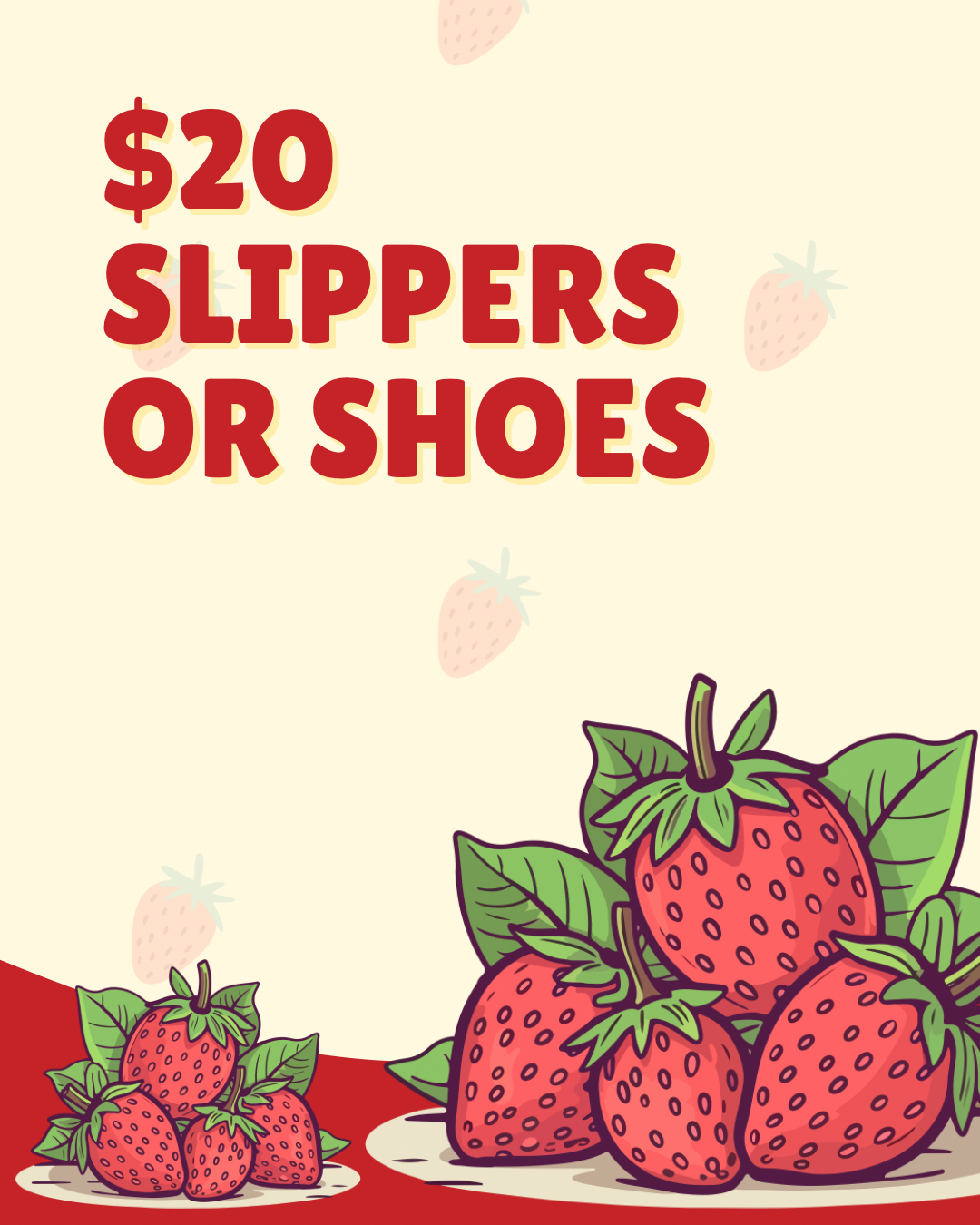 $20 Slippers or Shoes