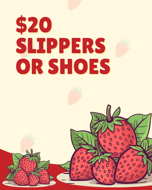 $20 Slippers or Shoes